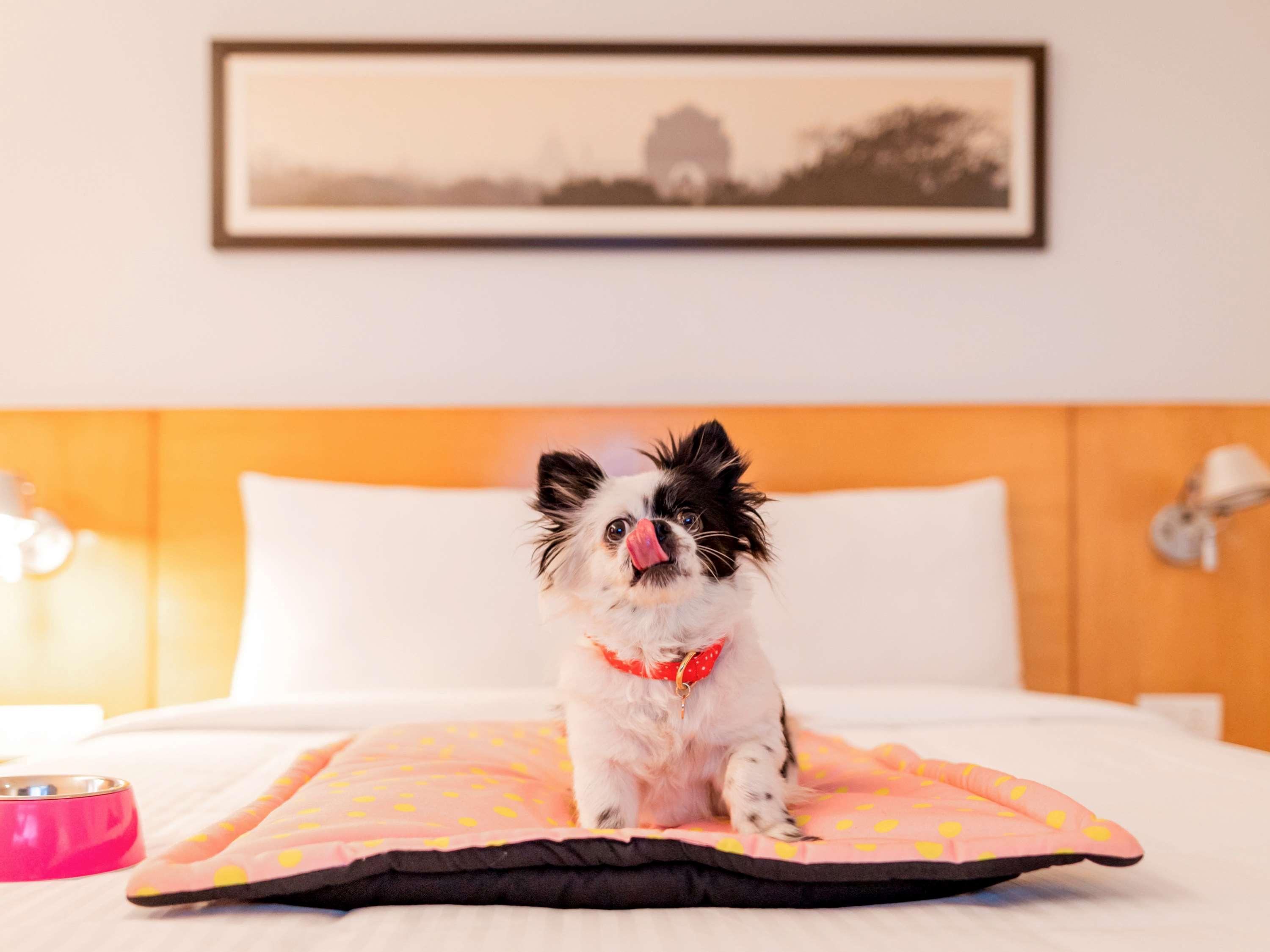 Отель Ibis Gurgaon Golf Course Road - An Accor Brand Экстерьер фото