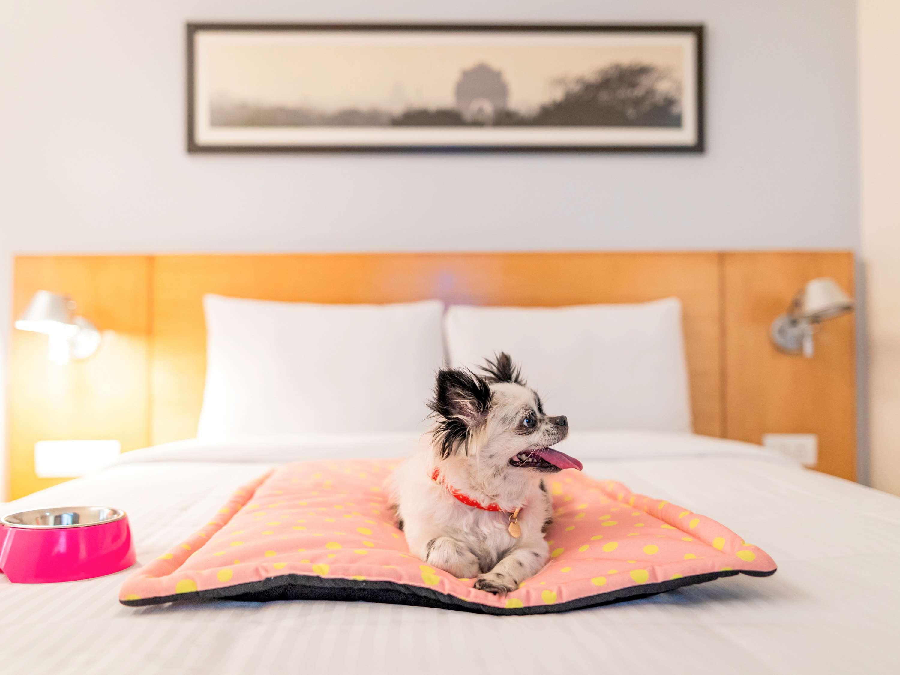 Отель Ibis Gurgaon Golf Course Road - An Accor Brand Экстерьер фото